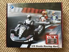 メ*2様 サンダータイガー KT8 RC レーシングカート - メルカリ