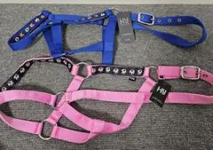 Item thumbnail for item f17a8522-5366-4c84-98a5-7ff9e0548ca0