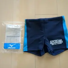 Item thumbnail for item 5280cf4a-f757-426b-8dbb-e911649d0713