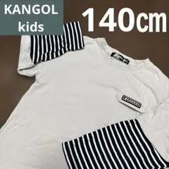 KANGOL KIDS 140㎝　長袖ボーダーカットソー