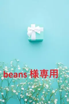 beans 様 専用 生地 打ち合わせ済み