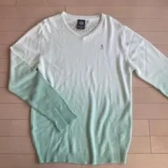 Item thumbnail for item 302908da-e2a7-4115-95c4-021e395e6830