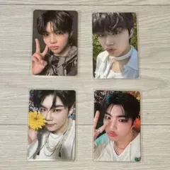 zerobaseone パクゴヌク トレカ