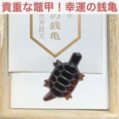 2026年最新】鼈甲 置物の人気アイテム - メルカリ