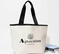 オトナミューズ3月号付録 Aquascutum ビッグトート