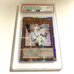 【PSA10】遊戯王 灰流うらら 25thレア 絵違い QCAC PSA10】遊戯王 灰流うらら 25thレア 絵違い QCAC - メルカリ