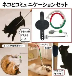 Item thumbnail for item d40c8ef5-a5a6-4acd-b380-f1d4147b8771