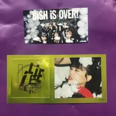 ステッカー　2枚　BiSH LiE LiE LiE　アイナジエンドのサムネイル