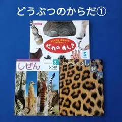 ビッグサイエンス かんきょうかがくえほん キンダーブックしぜん