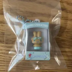サンリオキャラクターズチョコボックス　日焼け　シナモロール