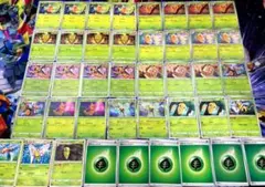 ポケモンカード「ビートル コクーン スピアー」進化ライン デッキパーツ まとめてのサムネイル