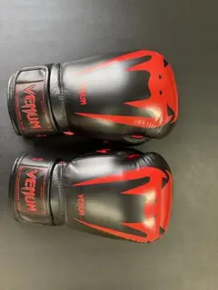 Item thumbnail for item fc3c895b-4b92-4651-88de-8bd246b21ae6