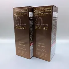 【新品未開封 2個セット】 ヘアボーテ エクラ ボタニカル エアカラーフォームのサムネイル