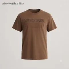 アバクロンビーアンドフィッチ　マッスルフィット ワッペンロゴ Ｔシャツ Mのサムネイル