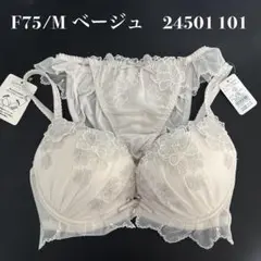 ベージュ　F75/M ナルエー　ブラショーツセット　24501 101のサムネイル