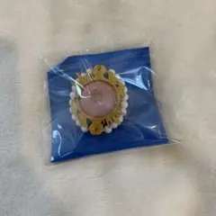 斎宮宗 リングライト②