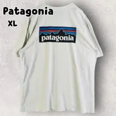 パタゴニア レスポンシビリティ 半袖Tシャツ マウンテンロゴプリント XL