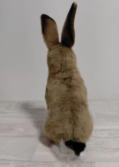 Item thumbnail for item bb8352da-a7fd-4b32-a686-d653316777c6