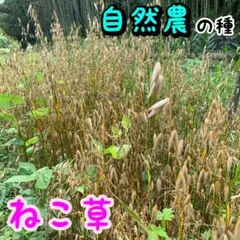 ヨモギ様 リクエスト 5点 まとめ商品
