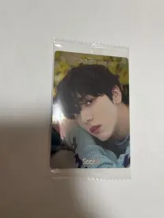 TXTウエハースシール　レア　スビン