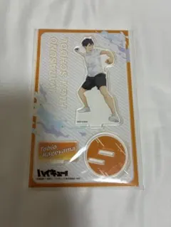 ハイキュー!! 影山飛雄 水遊び プール アクリルスタンド