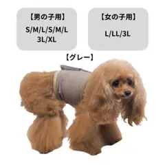 Item thumbnail for item e3ce7ad8-f285-4539-82ed-a1ca60461ffa