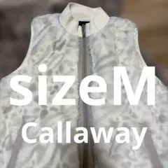 Item thumbnail for item 9bf8b2db-7894-4719-9e51-0a6843eb2851