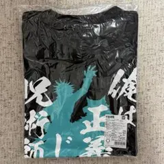 レアONE PIECE 初回限定特別カラー 名場面Tシャツ　エース&ルフィ レアONE PIECE 初回限定特別カラー 名場面Tシャツ エース&ルフィ
