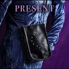 【未開封 】ANNA SUI 2026年ノベルティ　ショルダーポーチ