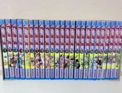 STEEL BALL RUN 全24巻セット 荒木飛呂彦 ジョジョの奇妙な冒険
