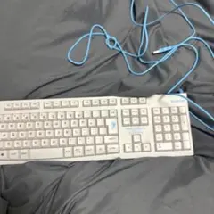 ELECOM 有線フルサイズキーボード ホワイト