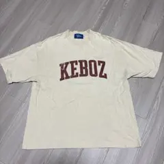 Item thumbnail for item 81efa527-2bb2-46fa-9a0c-2c6fba147c03