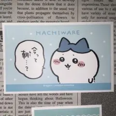 はちわれ｜HACHIWARE 「今って朝」ステッカー