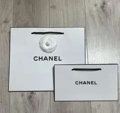 シャネル紙袋2枚セット 新品未使用 4/20入手