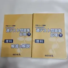 2025年最新】四谷大塚週テスト6年の人気アイテム - メルカリ