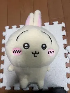 우사기 ぬいぐるみ