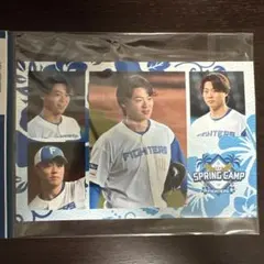 ooo様 リクエスト 3点 まとめ商品