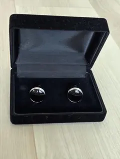 Item thumbnail for item e4625b0f-efc6-4011-b8cc-9471bef2628e