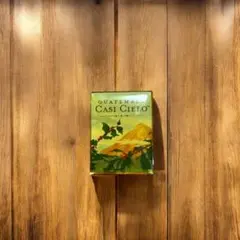 【レア品】スターバックス グアテマラ カシ シエロ ピンバッジ