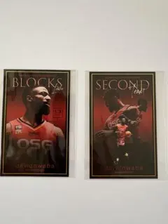 B.LEAGUE David Nwaba ステッカー2枚セット