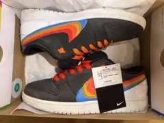 Polaroid × Nike SB Dunk Low Pro QS