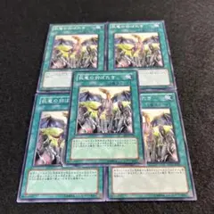 a1858【遊戯王】巨竜の羽ばたき　5枚セット