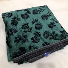 Item thumbnail for item 0de25d55-ca9d-4a37-aa71-337ee2e9893b