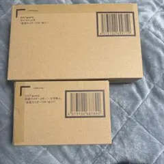 真骨彫製本S.H.Figuarts仮面ライダー2号 & サイクロン2号本日価格