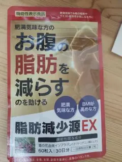 Item thumbnail for item 91ab3ba9-b045-46ad-9151-75a207b9daf3