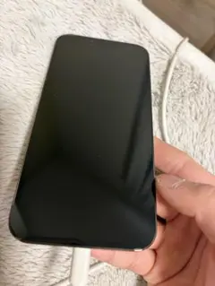 iPhone 13 Promax 256gb