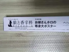 늑대와 향신료 나와 홀로의 해 DS 소프트 예약 특전 등신대 포스터