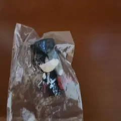 美少女戦士セーラームーンETERNAL ハグコット タキシード仮面