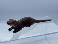チョコエッグ 日本の動物 第２弾 ニホンカワウソ【海洋堂】ブック無