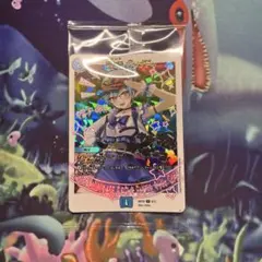 大オレンジ様 リクエスト 2点 まとめ商品